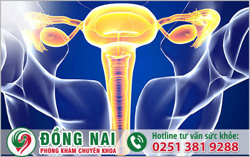 Nguyên nhân và biểu hiện của tắc ống dẫn trứng