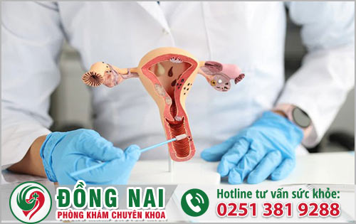 Những triệu chứng bệnh con gái dễ gặp hiện nay