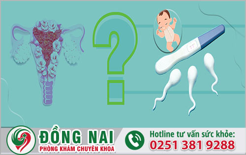 Nữ giới mắc đa nang buồng trứng có khả năng sinh con không?