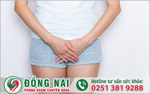 Vì sao nữ giới bị sưng âm đạo?